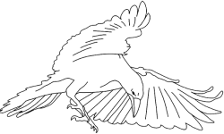 logo-white-raven-blanc-600
